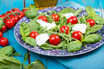 Obraz na płótnie Canvas Healthy diet salad with tomatoes and mozzarella