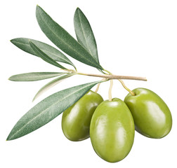 Green olives with leaves on a white background.