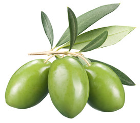 Green olives with leaves on a white background.