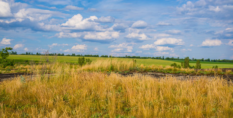 rural landscape