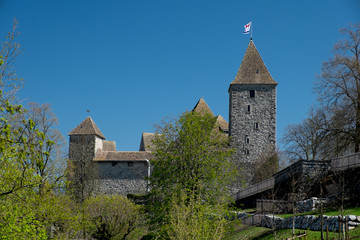 Fototapeta premium Schloss Rapperswil