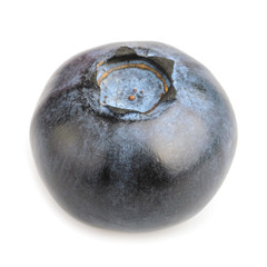 blueberry isolated on white background