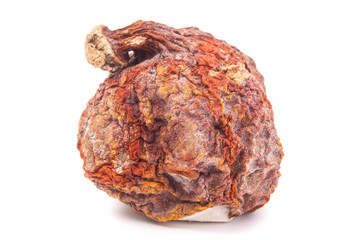 Red kuri squash with mold