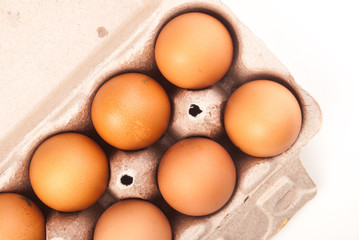 eggs