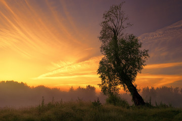 A warm summer morning.