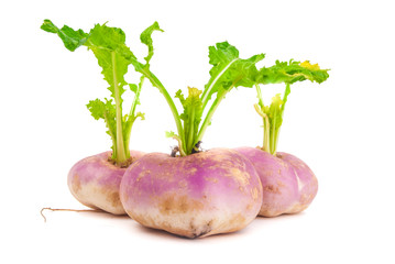 ripe turnip