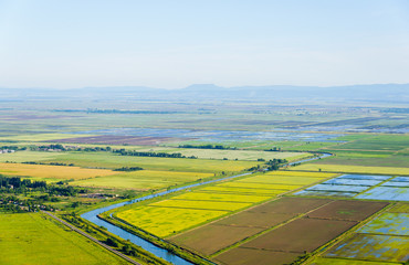 Cultivation of cereals. Krasnodar region, top view