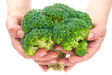 Naklejka na ściany i meble Green fresh broccoli in hands