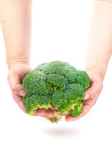 Fototapeta na wymiar Green fresh broccoli in hands