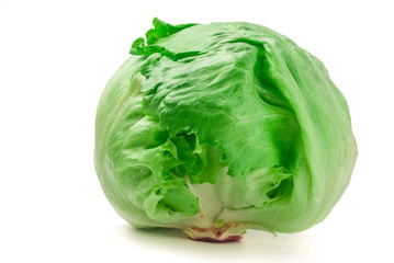 Young fresh green cabbage