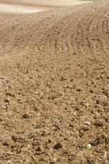 Farmland