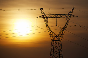 Power line