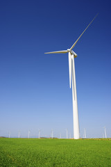 Fototapeta premium Wind energy