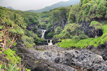 HAWAII MAUI OHE’O GULCH (KIPAHULU)