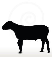sheep silhouette with walking pose