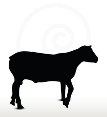sheep silhouette with walking pose
