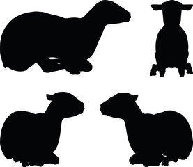 sheep silhouette with laying pose