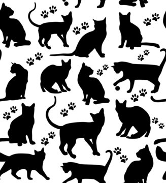 Cat seamless pattern
