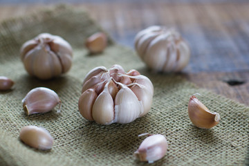 Garlic