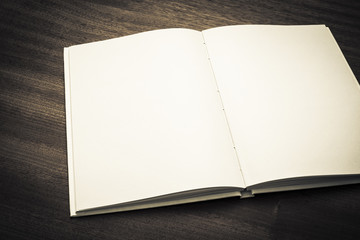 Open book with blank white pages
