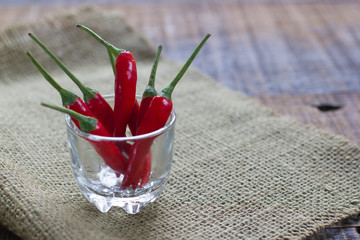 Red chili pepper