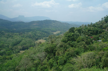 Naklejka na ściany i meble Sri Lanka landscape
