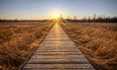 Obraz premium Prairie Boardwalk Sunset