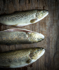Fototapeta premium rainbow trout on wooden background