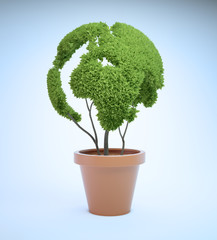 Pot plant shaped like a world map