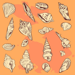 set of linear drawing shells on orange background