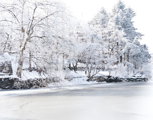 Winter lake scenery