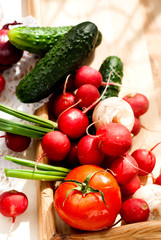 Fototapeta na wymiar fresh vegetables - tomatoes, radishes, green onions, cucumbers
