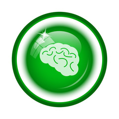 Brain icon