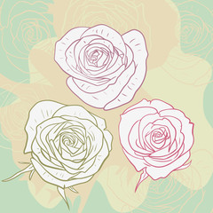 Floral card with roses
