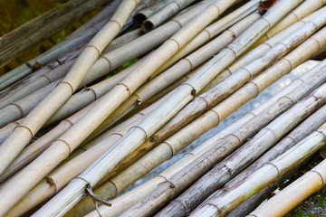 Pile of Cut Bamboo