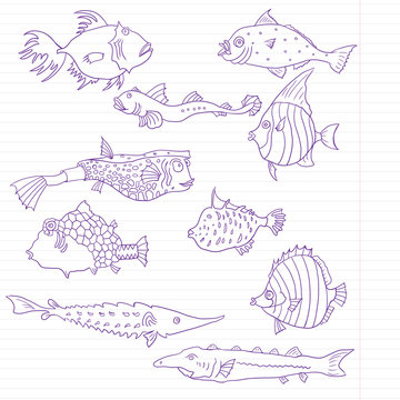 Ink drawing fish at lined paper, vector illustration