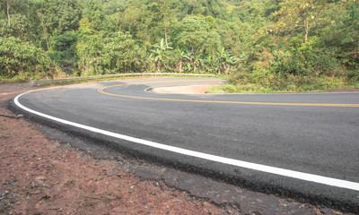 Fototapeta premium Forest road.