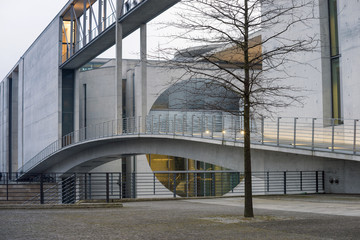 Obraz premium urban tree