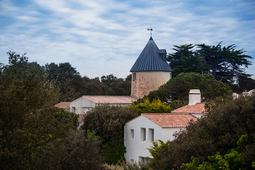 Fototapeta premium Moulin de la parée pénard