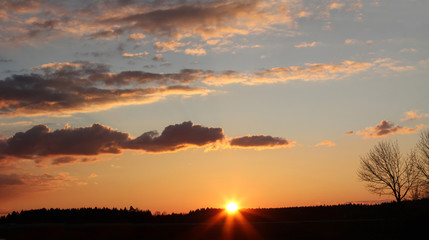 Abendstimmung am Waldrand