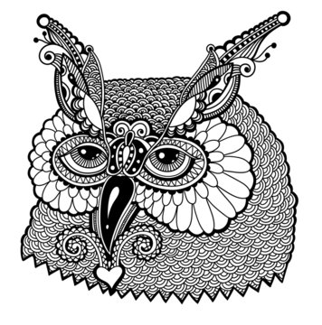 black and white owl head