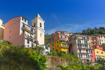 Obraz premium Village architecture of Manarola on Ligurian Sea coast, Italy
