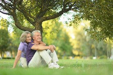 Fototapeta premium Happy Mature couple