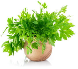 Bunch fresh parsley. Isolated on white background