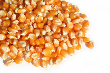 chicchi di mais giallo su sfondo bianco