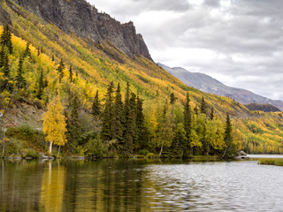 Autumn in Alaska - Aspen Forest & Lake