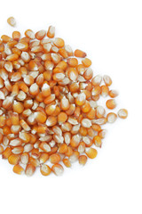 chicchi di mais giallo su sfondo bianco