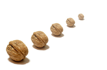 walnuts