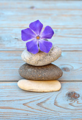Obraz na płótnie Canvas zen stones with purple flower on wooden background