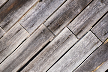 Texture of old wood